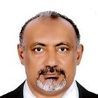 Elhassan Fouad Amin Himaid, Data Quality global senior manager