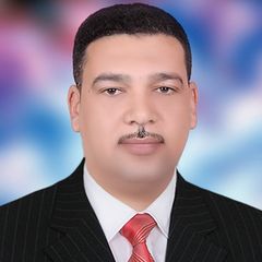 عبد المنعم أحمد محمد elmasry, حكومى
