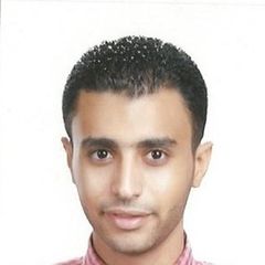 Mohamed Aly, موظف