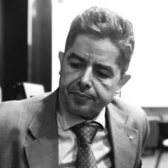 Hassan El-Meligy, Consultant
