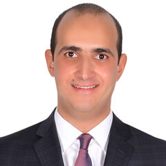 Mahmoud Hosni Abdelgawad Fatouh, Medical Sales Representative