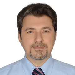 Hisham Musbah Satly, Sales Director