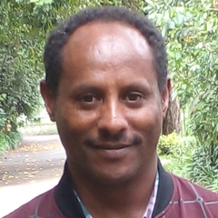 Abebe Tadesse Mulatu