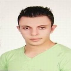 samir Elsharkawy, موظف تأشيرات