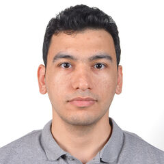 Ahmed Derbala, HCM Techno-Functional Consultant