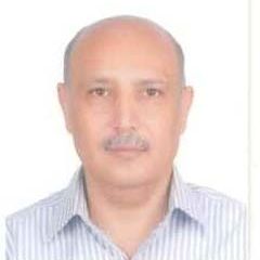 عاطف مرسى محمد يوسف محمد يوسف, Director of procurement department and Board member of SCA