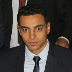 حسام محمد حسن الخولى elkholy, مخطط مالى 