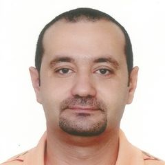 Mohammed Masri, Freelance Consultant