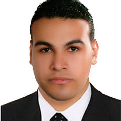 Mohamed Sayed Ali, Document Controller