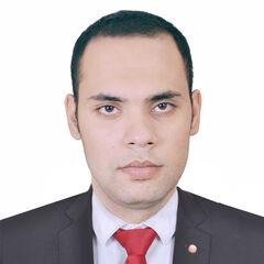 Mohammad Al amir Ali Ahmed, IT Help Desk Support