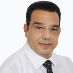 Hassan Mekawy, Sr. Contract Engineer