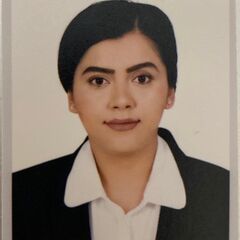 Hijab Amer