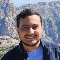 محمد الهليس, Software Engineer