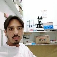 Wajid Ali