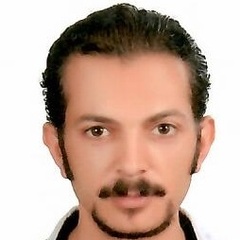 Mohamed Maghraby, Web Designer