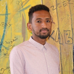 Mohammedalfateh  Naseraldeen 