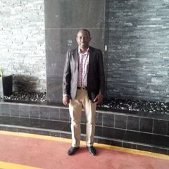 Akintoye Ogunsina, Project Analyst