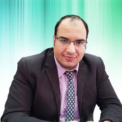 Ayman Ahmed Elkady, Art Production Manager