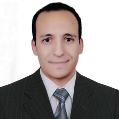 Mina Ibrahim, IT Manager