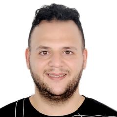 حسام فارس, Senior Software engineer
