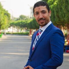 احمد عبد السميع اسماعيل السيد, مدير الشئون القانونية