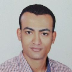 Ezz Wahid, Senior .Net Developer 