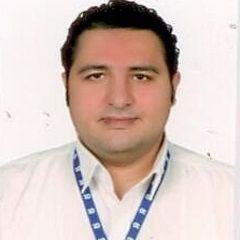 محمود مصطفي فتحي حسين مصطفي, Acting regional area manager