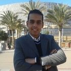 محمود حسام, Sales Manager