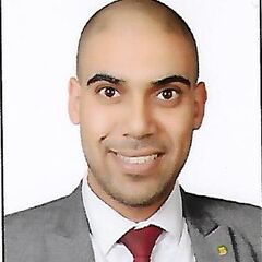 Mohamed Elsawy Abu Ghazala, Senior Banker