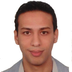 Saif Haddad, Marketing Consultant