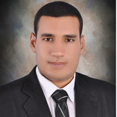 amr  elrfaay, Site and Technical Office Engineer