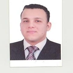 walid saleh mohamed