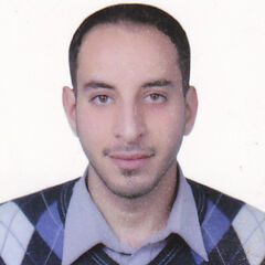 Ali Adel, logistic and warehouse supervisor