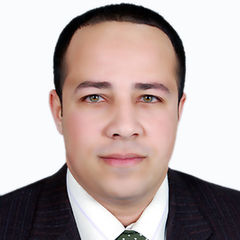 محمود احمد السيد الشربيني, وكيل تأمين