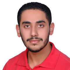 نورس منصور, Electrical and Electronics Engineer