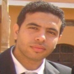 محمدحسان حامد سيد, مهندس مدني  تنفيذي 