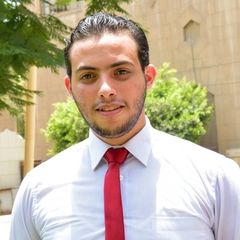 Mostafa Asem Fouad Mansour Ghonaim