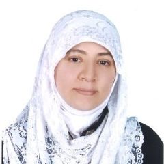 Rana Seif, Senior Administrator