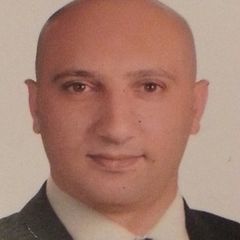 Loay Elsharawy, Sales Manager