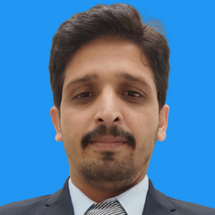 Ali Raza, Consultant - Data Analytics