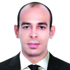 Hossam Elganayeni