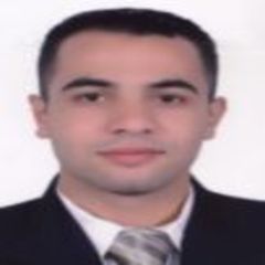 عمرو احمد محمود الدسوقي, منسق عروض