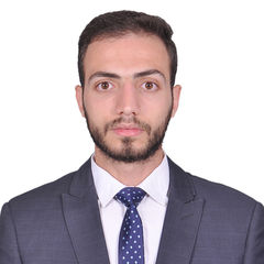 Ahmed Mohamed Elsayed, Business Owner