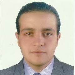 Fady Victor, Senior Technical Support 