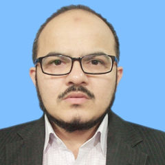 Murtaza Mushtaq Ali, Overall Experience in VAT (including VAT implementations)