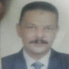 mohamed Mohamed Ahmed Almanzalawy, General Civil Supervisor