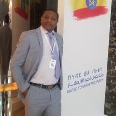 Ashenafi Woldetsadik, Accountant