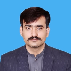 Mansoor Akhter Malik, deputy finance and it head