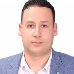 Mohamed  Abdelfatah Elsayed PMP®  