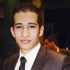 Ahmed Atef Mohamed Abdel Aziz